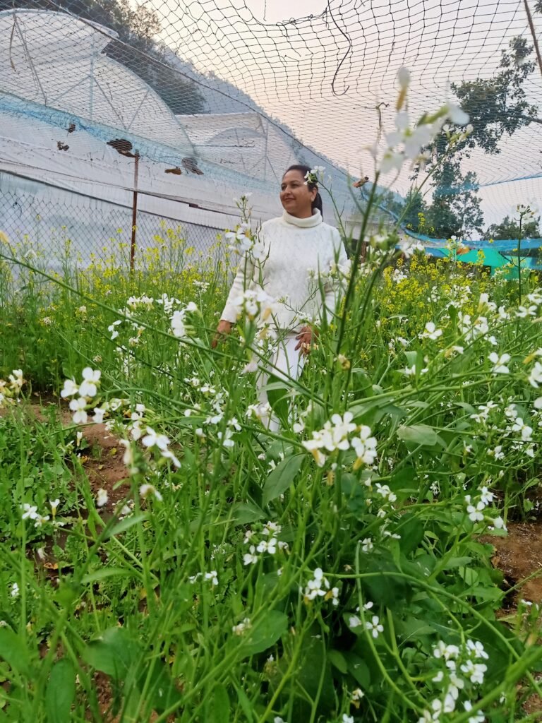 Discover Sri Jungle Ashram Rishikesh: Yoga, Meditation & Spiritual Wellness in Nature