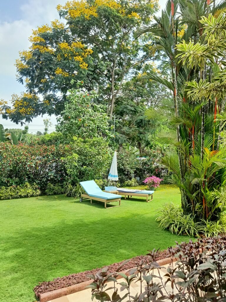 Luxury, Comfort & Coastal Bliss – Heritage Village Resort & Spa Goa