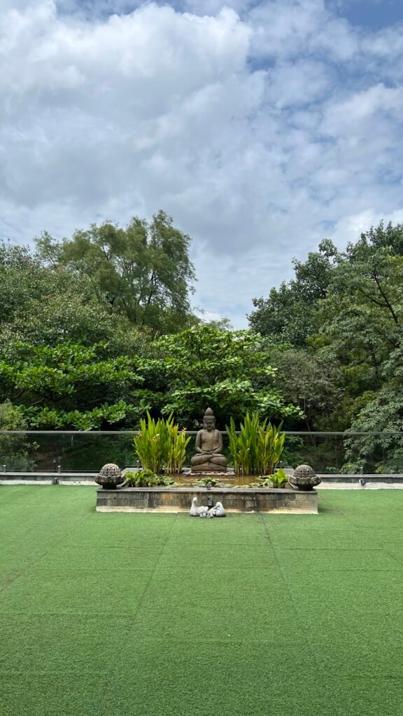 The Curing Tree – A holistic wellness retreat in Hyderabad